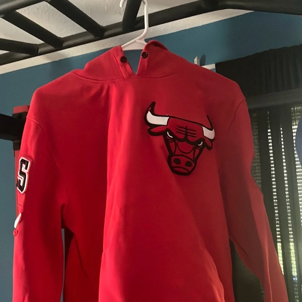 NBA Chicago Bulls classic chenille mens PO hoodie - Picture 2 of 9